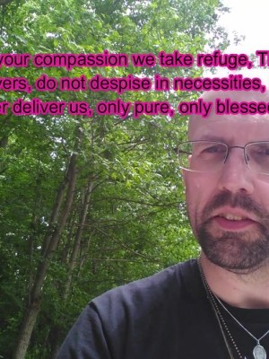 3 short video&nbsp;clips